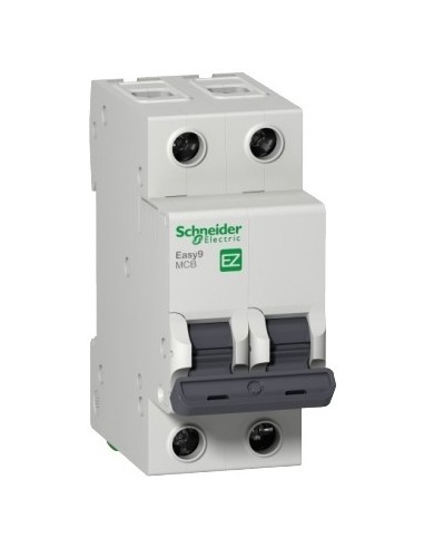- Schneider Ez9f34232 Termomagnetica...