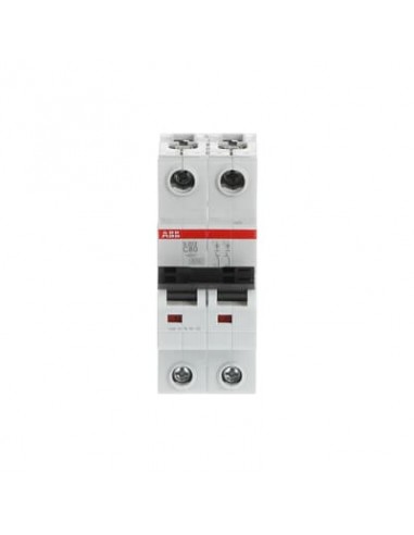 Abb S202-c80 Termomagnetica Din 2 X...