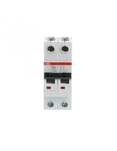 Abb S202-c100 Termomagnetica Din 2 X...